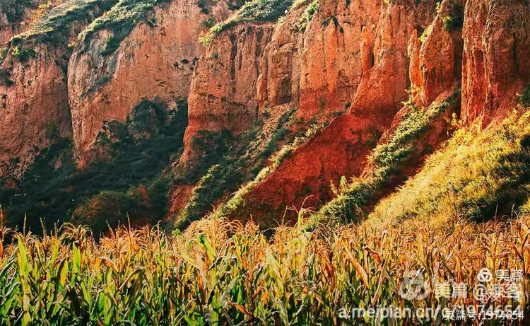 苹果版红高粱破解(红高粱788kb直播平台ios)