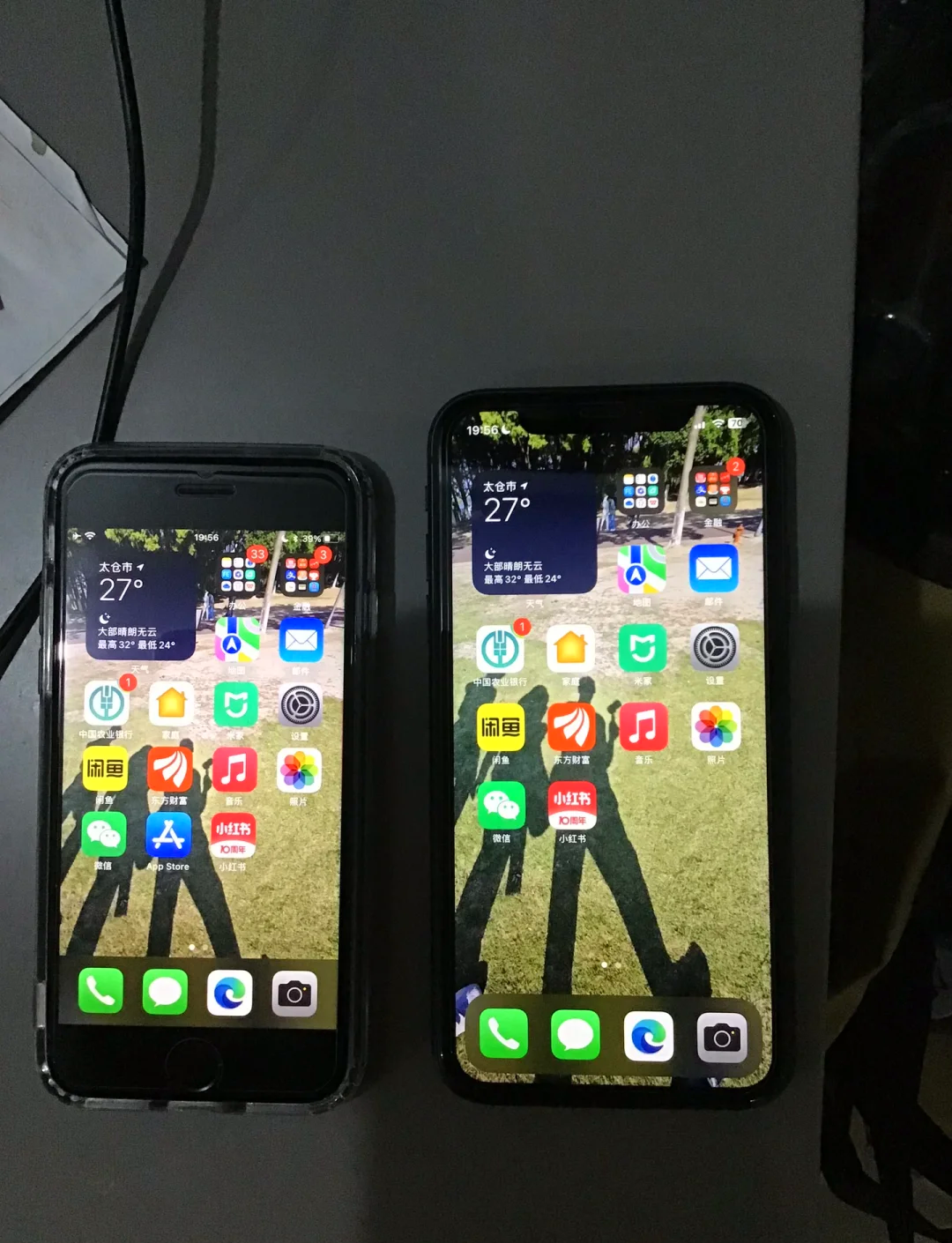 苹果手机标准版和移动版(苹果移动版本属于双网通吗)-第2张图片-有道翻译官网